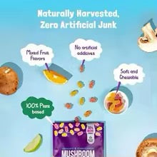 2 PACK Natural Mushroom Supplement Gummies