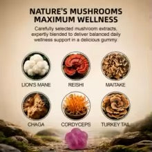 250mg Mushroom Super Blend Complex