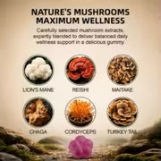 250mg Mushroom Super Blend Complex